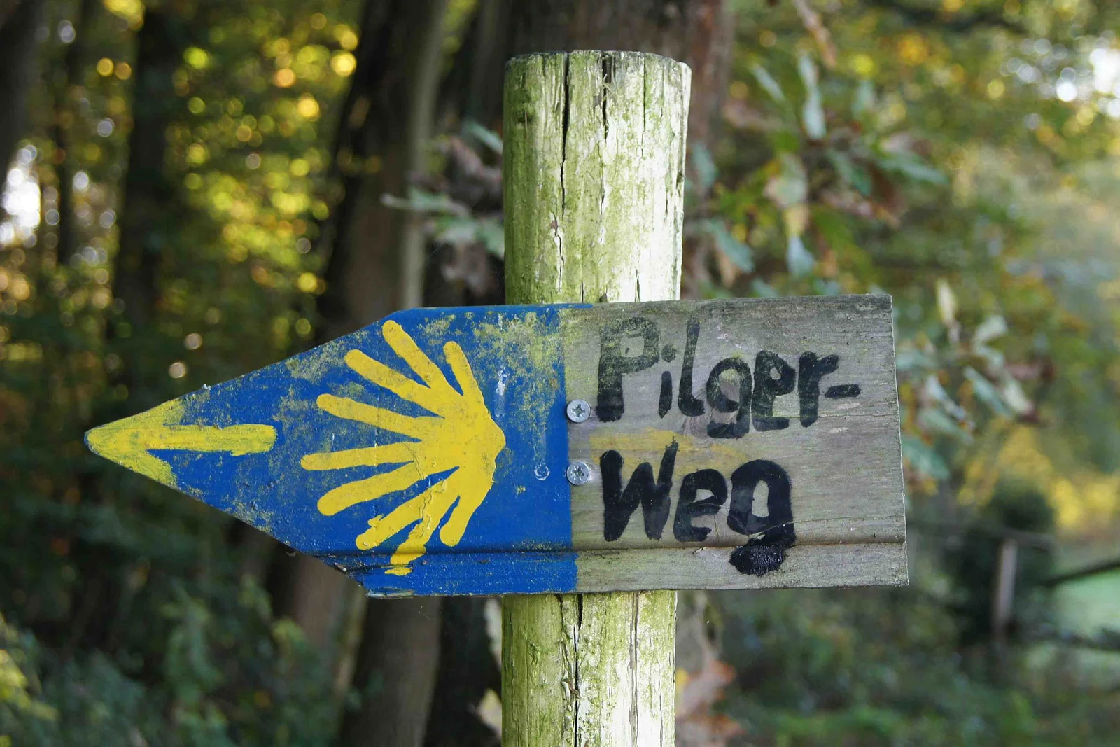 Camino de Santiago