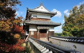 Japón Auténtico