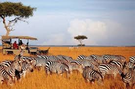 Tanzania y Kenya