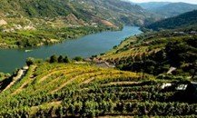 Portugal Esencial